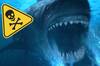 Los tiburones blancos seran una de las causas de la extincin del Megalodn